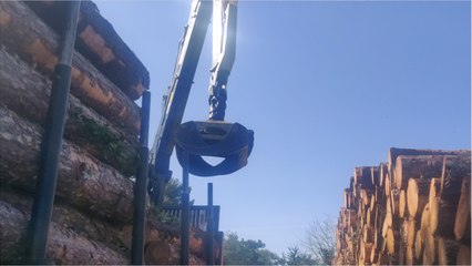 2000m3 de bois coupés sur l’Île de Ré