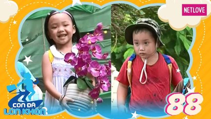 Con Đã Lớn Khôn - Tập 88: Hành trình Bé Bi, Mai và Củ lạc, Bí xanh