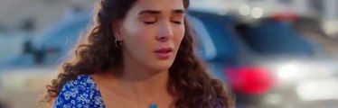 Hercai Capitulo 240 Completo Hercai Capitulo 240 Completo Hercai Capitulo 240 Completo