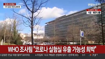 WHO 조사팀 "'코로나 실험실 유출' 가능성 희박"