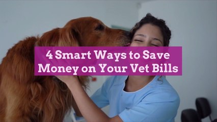 4 Smart Ways to Save Money on Your Vet Bills