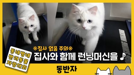 [동반자] "같이 관리하자옹" 런닝머신 뛰는 고양이 / YTN