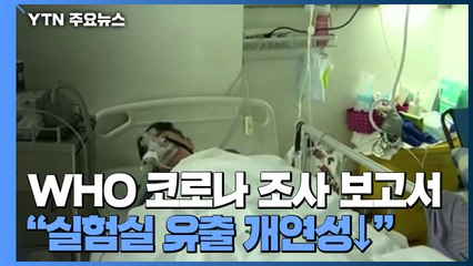"WHO 코로나19 조사팀, 실험실 유출 '개연성 매우 낮다' 결론" / YTN