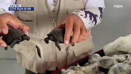 [굿모닝월드] 인간의 욕심이 뭐기에…