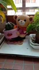 plants