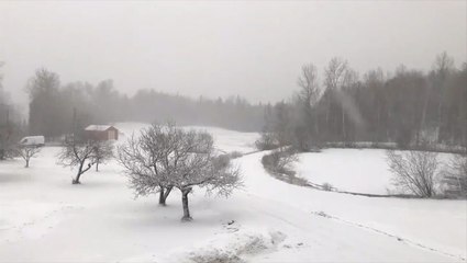 Northeast buffeted by wind and snow on Monday