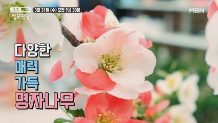 생생 정보마당 [850회] - 실속 있는 수요일