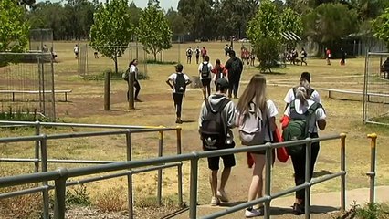 Discrimination cases due to appearance and race most common