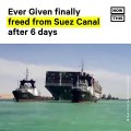 Suez Canal Ever Given Ship Freed After 6 days