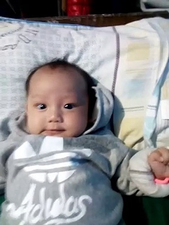 kulit