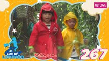 Con Đã Lớn Khôn - Tập 267: Hai bé 4 tuổi đội mưa dắt nhau đi chợ mua gạo giúp mẹ