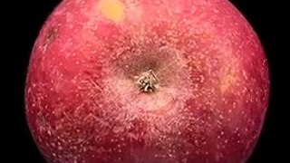 This is what you see if you magnified to an apple