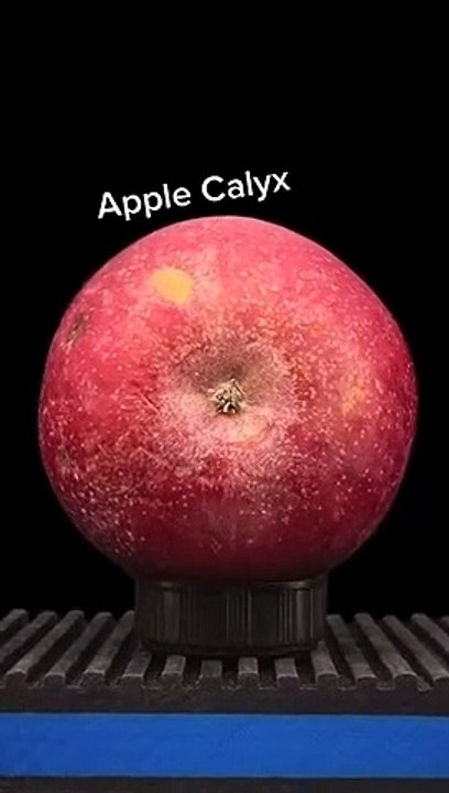 This is what you see if you magnified to an apple