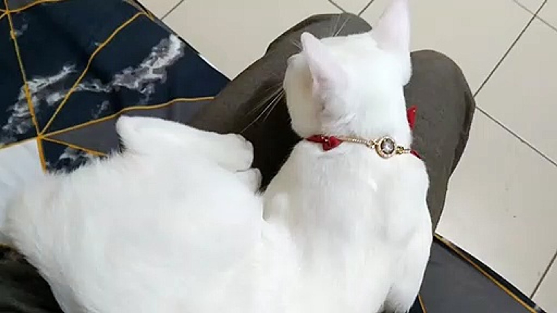 relaxing time