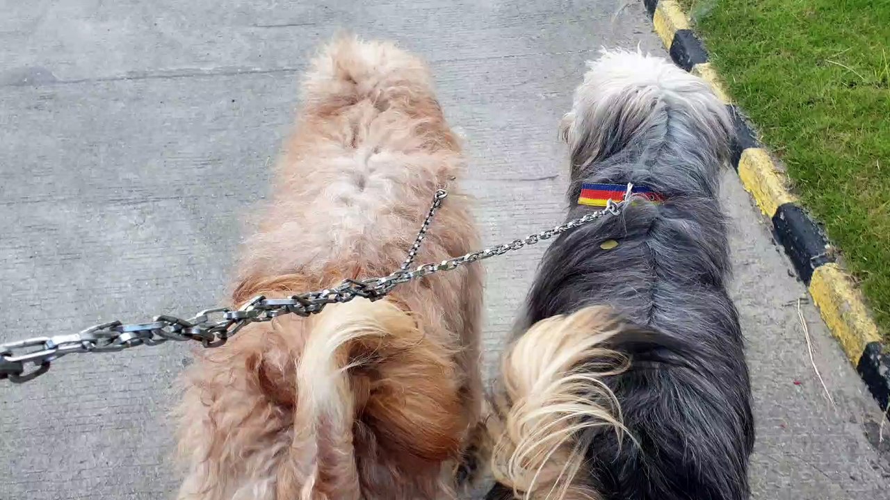 Maxi and Bimbo