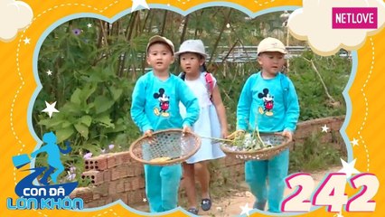 Con Đã Lớn Khôn - Tập 242: Chuyến đi đầu đời của cặp song sinh và cô chị họ đáng yêu