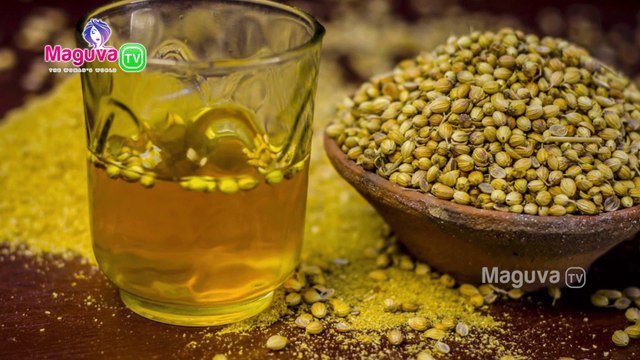 Health Benefits of Coriander Seeds | Dhaniya water Benefits | Maguva TV | Health & Beauty Tips