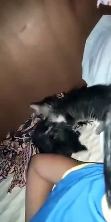 My babies