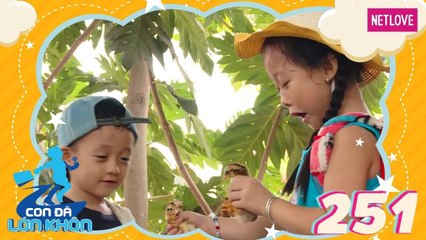 Con Đã Lớn Khôn - Tập 251: Cô chị nghiêm khắc và nhiệm vụ bất đắc dĩ với những chú gà