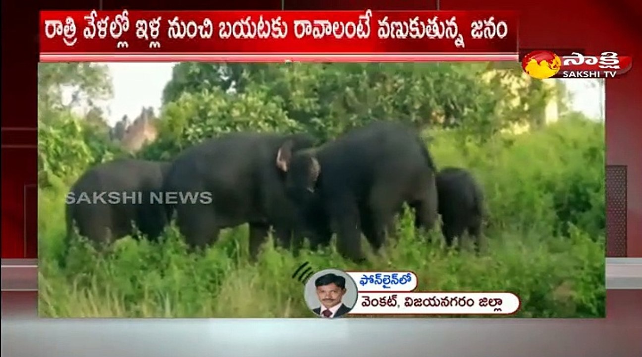 విజయనగరం జిల్లా జియ్యమ్మవలసలో  ఏనుగుల బీభత్సం