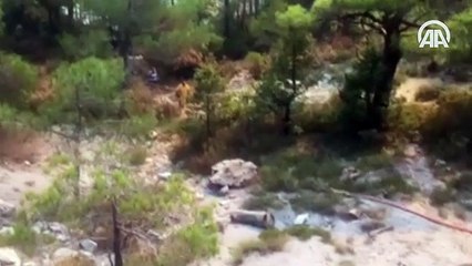 Hatay'da orman yangını