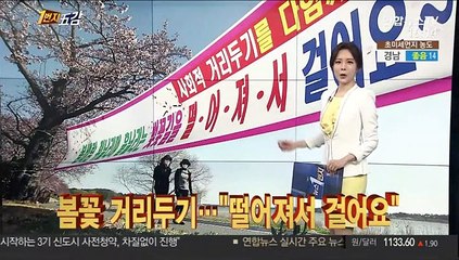 [1번지五감] 봄꽃 거리두기…"떨어져서 걸어요" 外