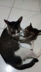 mother and son playing