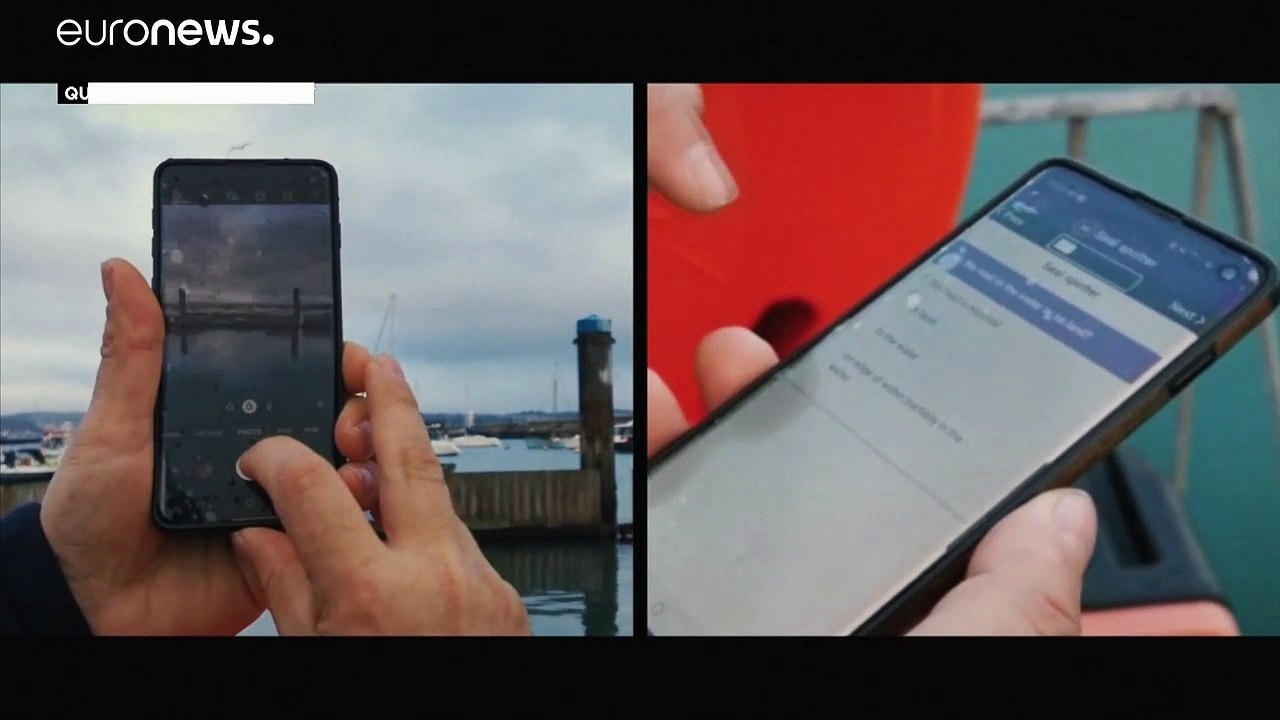 Kegelrobben: Dem Wasserraubtier auf der Spur