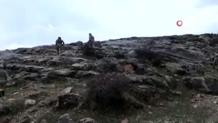 Son dakika haberi... İçişleri Bakanlığınca Şırnak ve Siirt'te "Eren-12 Güleşli" Operasyonu başlatıldı