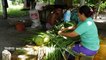 Wallis-et-Futuna - La vie sur un ilôt