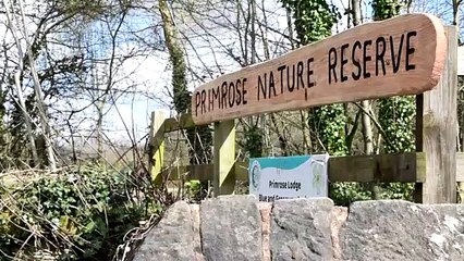 Primrose Nature Reserve in Clitheroe opens to the public