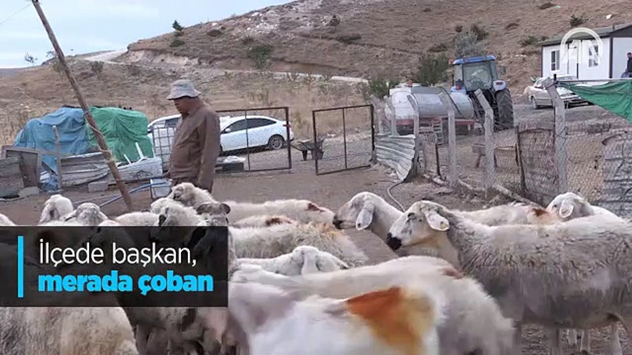 İlçede başkan, merada çoban