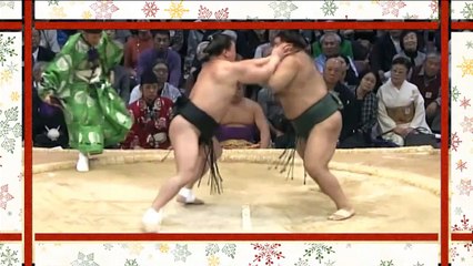 Ozumo wrestling 1