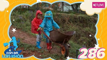 Con Đã Lớn Khôn - Tập 286: Hành trình đội mưa giao cây giống của 2 nông dân nhí|