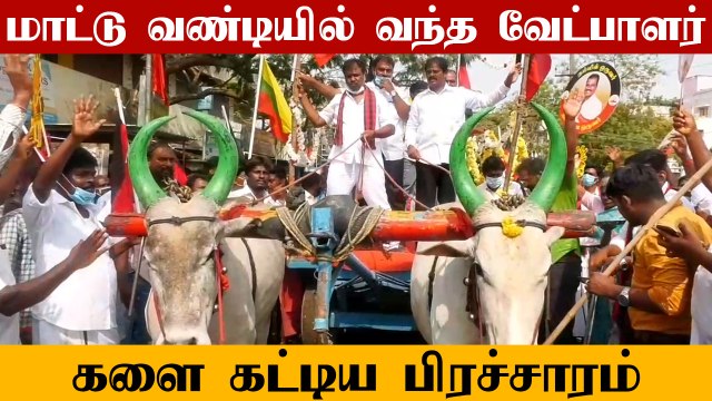Sholinganallur-ல் மாட்டு வண்டியில் வந்த வேட்பாளர்..களை கட்டிய பிரச்சாரம் | Oneindia Tamil