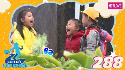 Con Đã Lớn Khôn - Tập 288: Bộ 3 tinh nghịch và hành trình giao bánh dưới mưa
