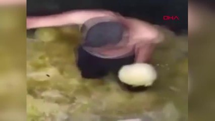 ŞANLIURFA Turşu tesisinde skandal görüntülere tepki