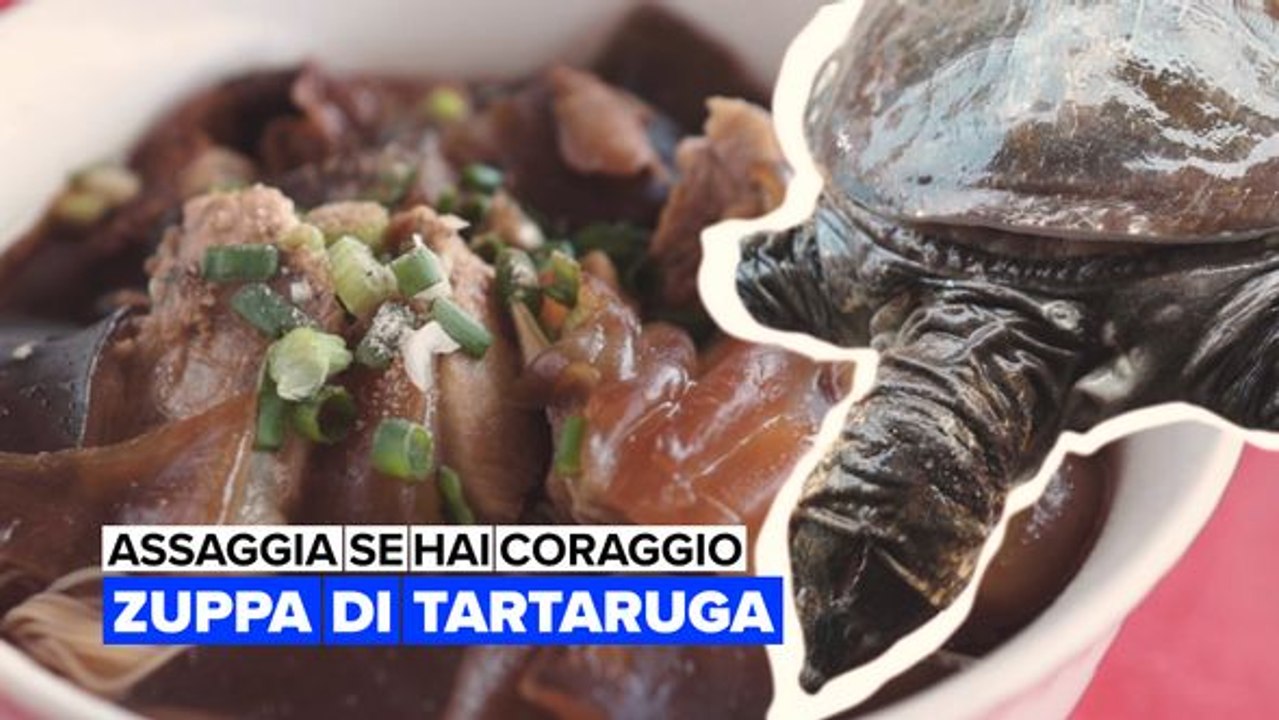 Assaggia se hai coraggio: Zuppa di tartaruga