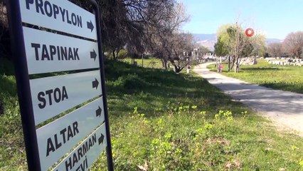 2 bin yıllık sütunlar ayağa kalktı