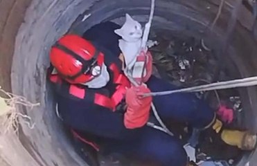 Osmaniye'de su kuyusuna düşen kediyi itfaiye kurtardı