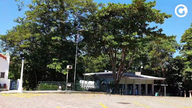 Minuto Festa da Penha: São 8 dias que no final, após o encerramento da festa a gente sobe, respira e fala já acabou? , diz Frei Pedro.