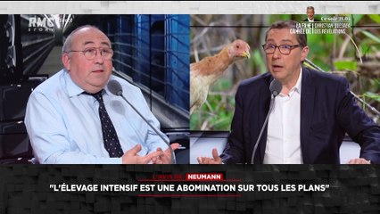 Un projet de poulailler géant dans le Nord - 30/03