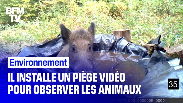 Il installe un piège vidéo pendant trois ans pour observer les animaux