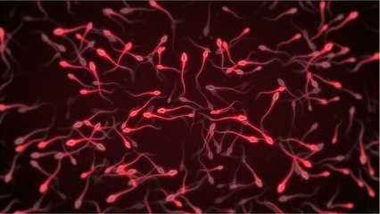 A Male Contraceptive Is Being Tested, and It’s Looking Promising