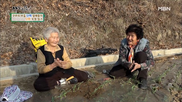 마늘밭에서 펼쳐지는 단짝 할매들의 노동요 한 마당~♬
