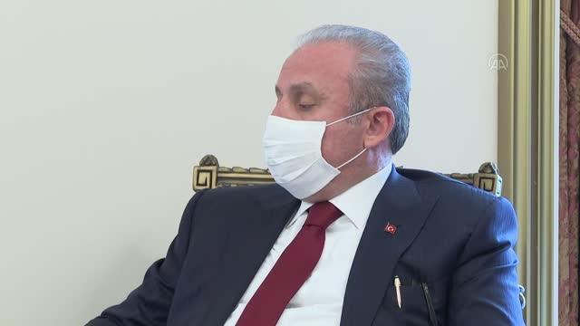 TBMM Başkanı Şentop, Avrupa Konseyi Parlamenter Meclisi Başkanı Rik Daems ile bir araya geldi (3)