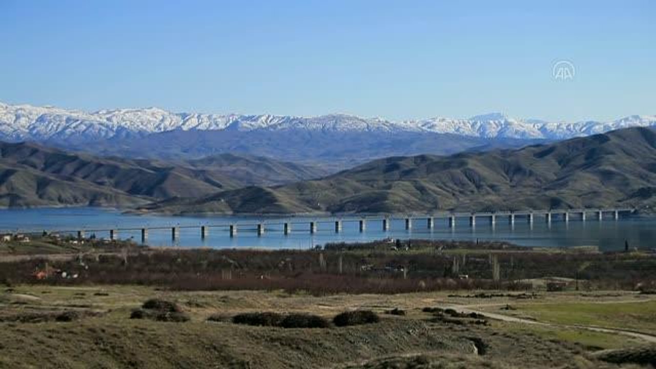 Zirai don kayısı ağaçlarındaki verimi olumsuz etkiledi