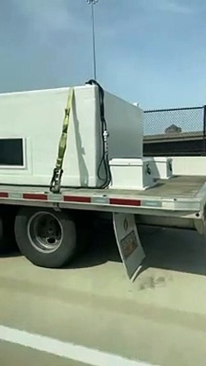 Des requins sur l'autoroute