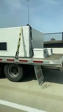 Des requins sur l'autoroute