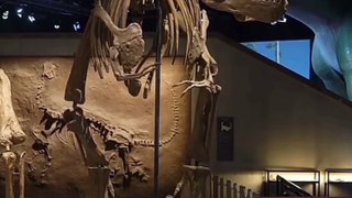 Dinosaurs जिंदा क्यों नहीं है? | How did dinosaurs die?